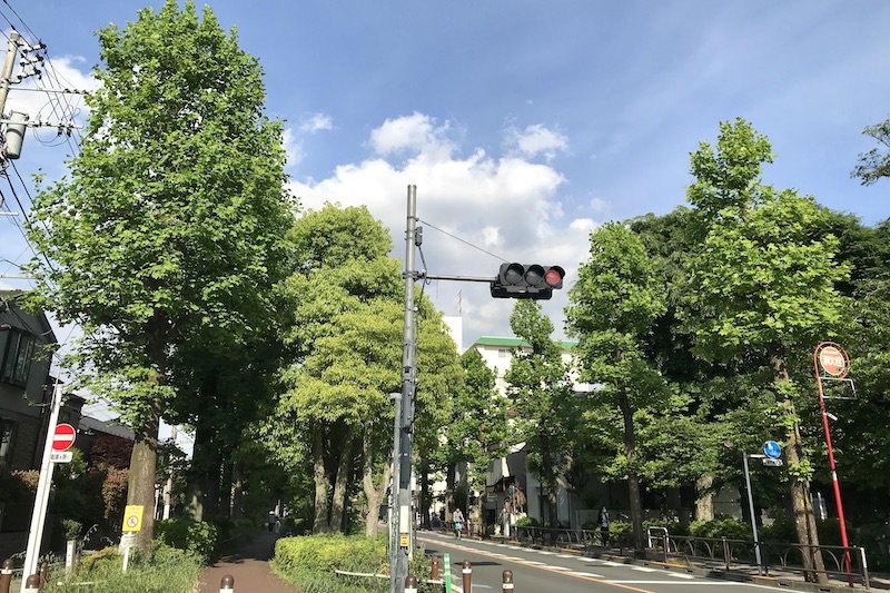「経堂」駅付近の「北沢川緑道」