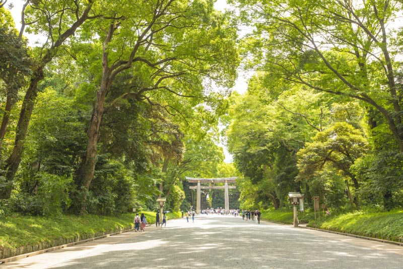 「新宿」駅の南に広がり、「明治神宮」や「代々木公園」の自然が寄り添う代々木エリア